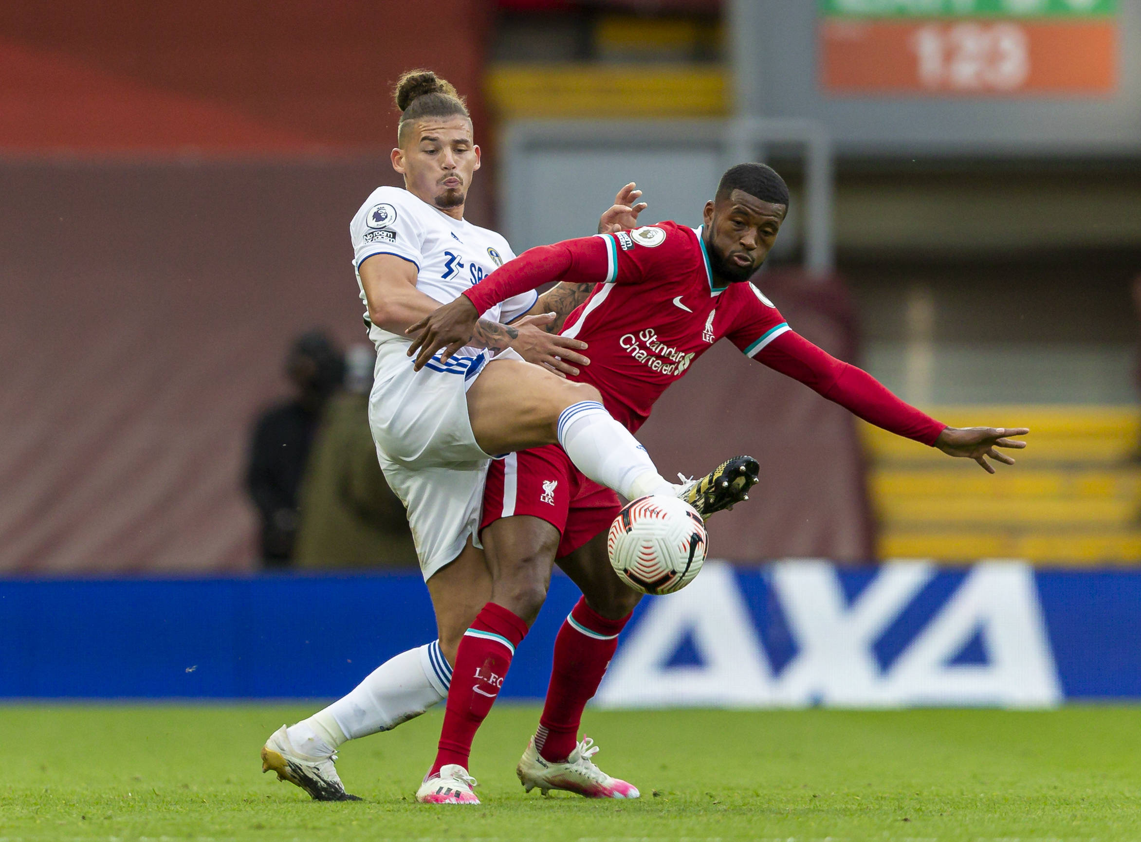 从中国的雪 从中国的雪